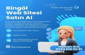 Bingöl'de İşletmeniz İçin Profesyonel Web Sitesi S...